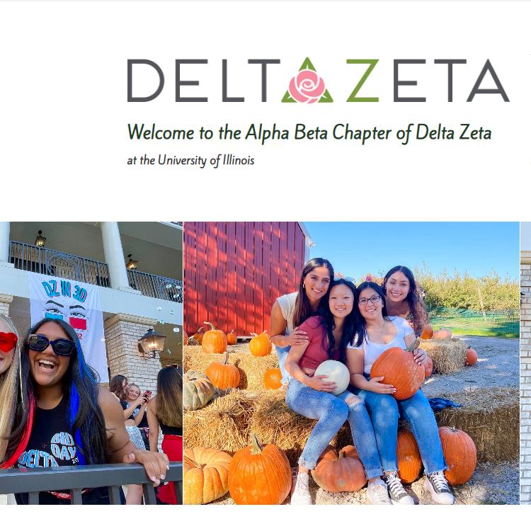 Alpha Beta Chapter of Delta Zeta - Women organization in Champaign IL