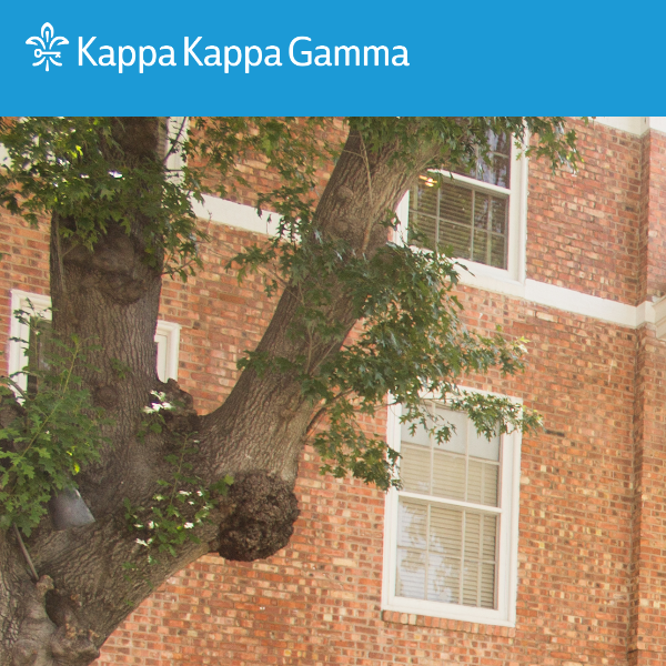 Women Nonprofits Near Me - Beta Xi Chapter of Kappa Kappa Gamma