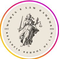 Female Nonprofits Near Me - Brandeis Women's Law Caucus