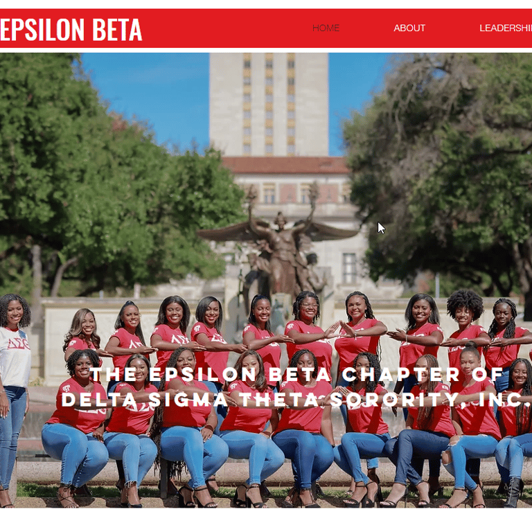 UT Austin Delta Sigma Theta Sorority, Incorporated - Women organization in Austin TX