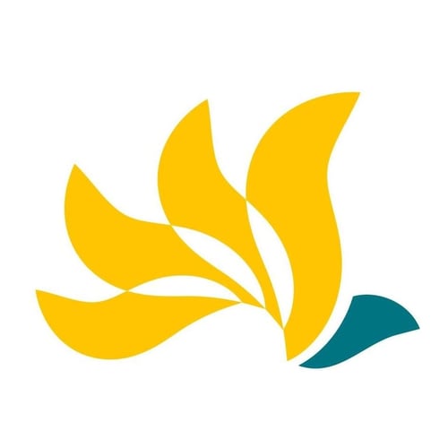 Women Category Near Me - Kansas Women Attorneys Association