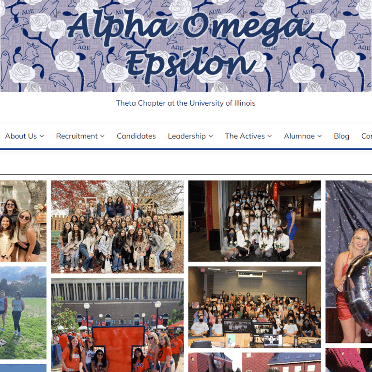 Female Nonprofits Near Me - Theta Chapter of Alpha Omega Epsilon